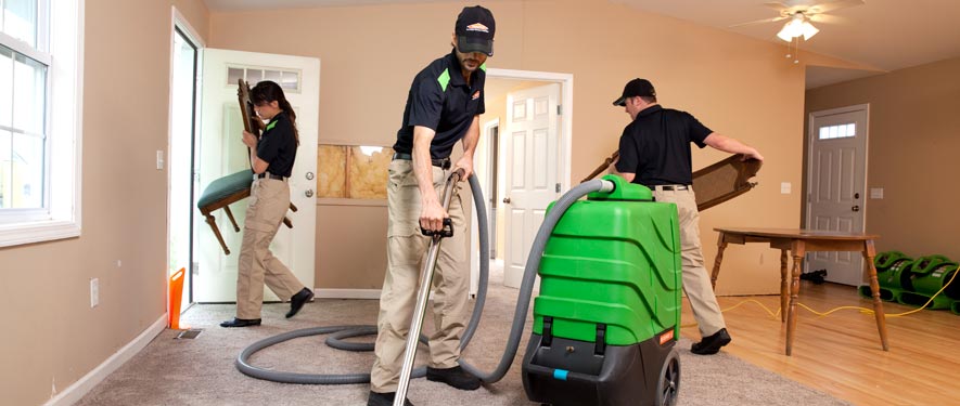 Clinton Township, MI cleaning services